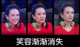 刘嘉欣爆料视频在线观看,揭秘娱乐圈不为人知的幕后真相