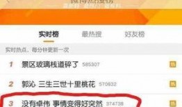 卓伟爆料海清视频播放,海清视频播放引发热议，真相究竟如何？