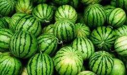 淄博网红吃瓜事件真相,揭秘背后真相与反思