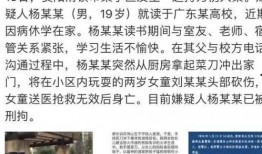 金乡小夏最新爆料新闻事件,揭秘最新新闻事件背后真相