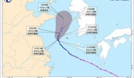 台风爆料最新情况新闻,揭秘“台风爆料”最新情况