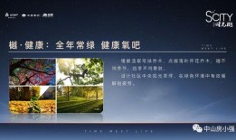 莲花楼定档最新爆料,神秘江湖风云再起，豪华阵容引期待！