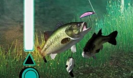 钓鱼人卷毛 爆料视频下载,揭秘钓鱼技巧与幕后故事