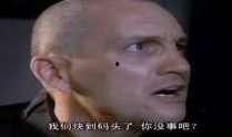 大战食人蝎在线观看,惊心动魄的生存挑战