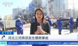 采访视频爆料怎么说,采访视频爆料背后的惊人真相